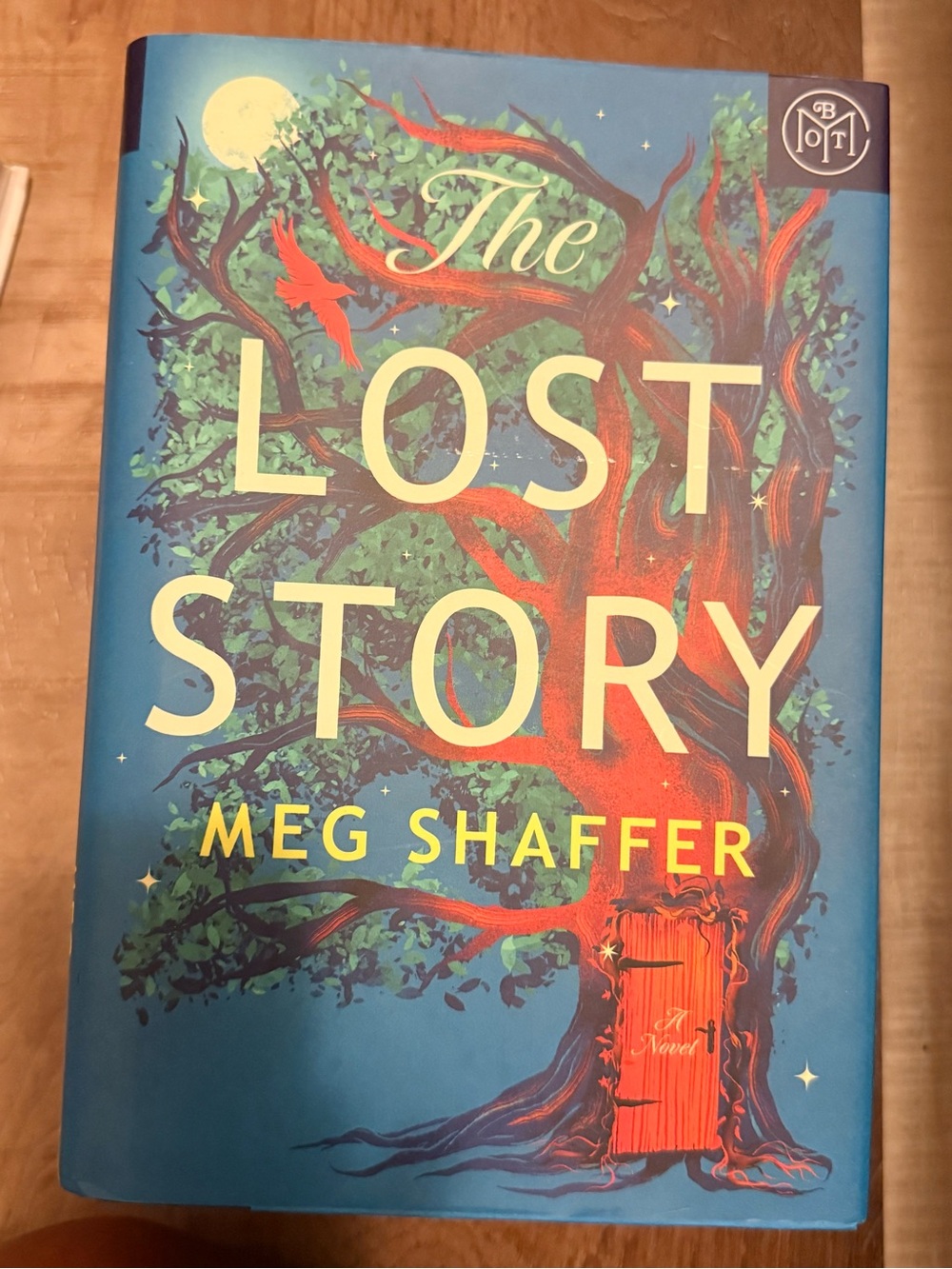 The Lost Story - Meg Shaffer